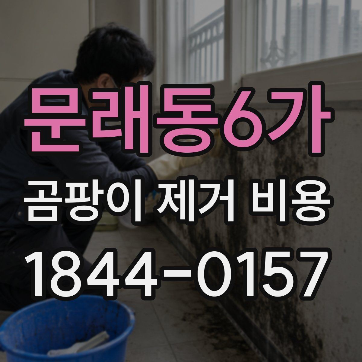 문래동6가 곰팡이 제거 비용 문의 전 준비하면 좋은 체크 항목