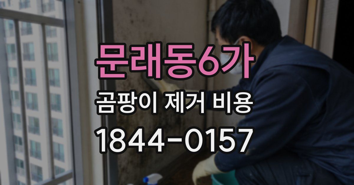 문래동6가 곰팡이 제거 비용
