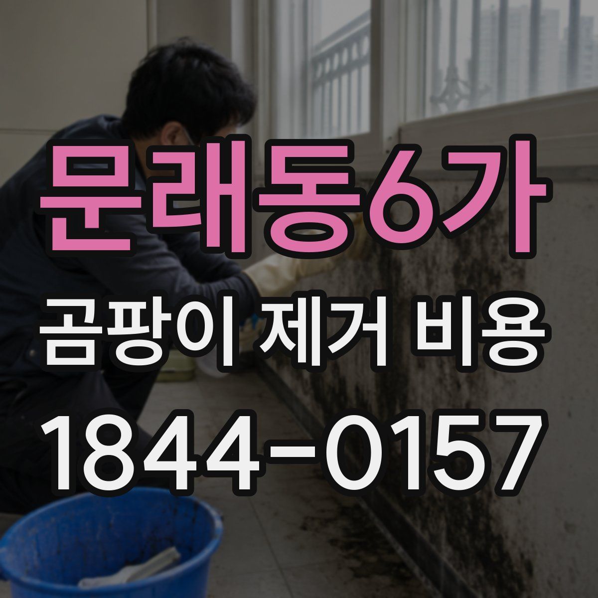 문래동6가 곰팡이 제거 비용