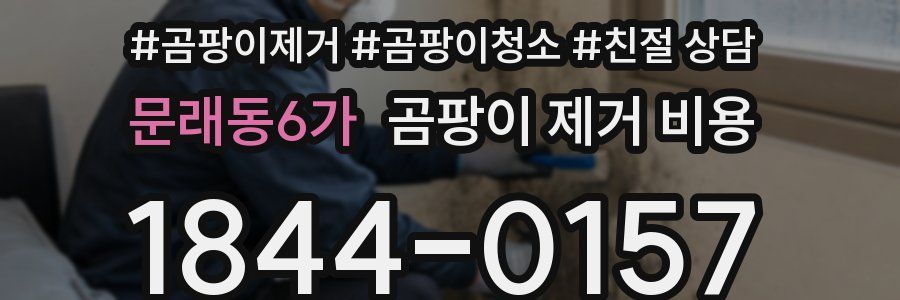 문래동6가 곰팡이 제거 비용