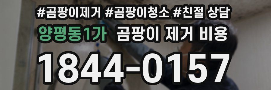 양평동1가 곰팡이 제거 비용