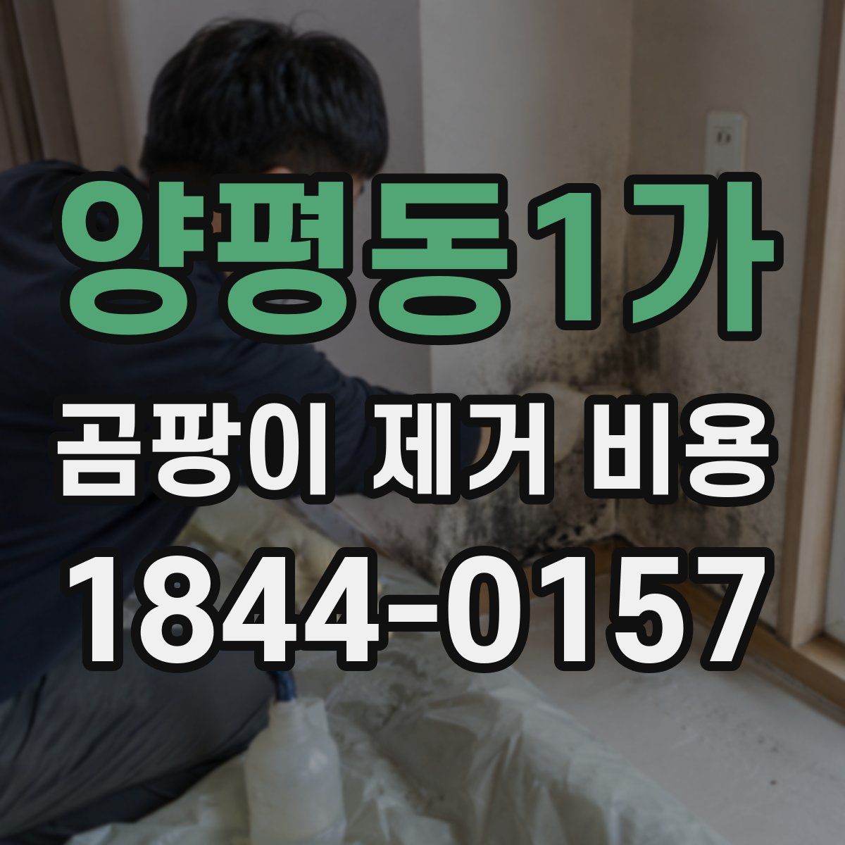 양평동1가 곰팡이 제거 비용