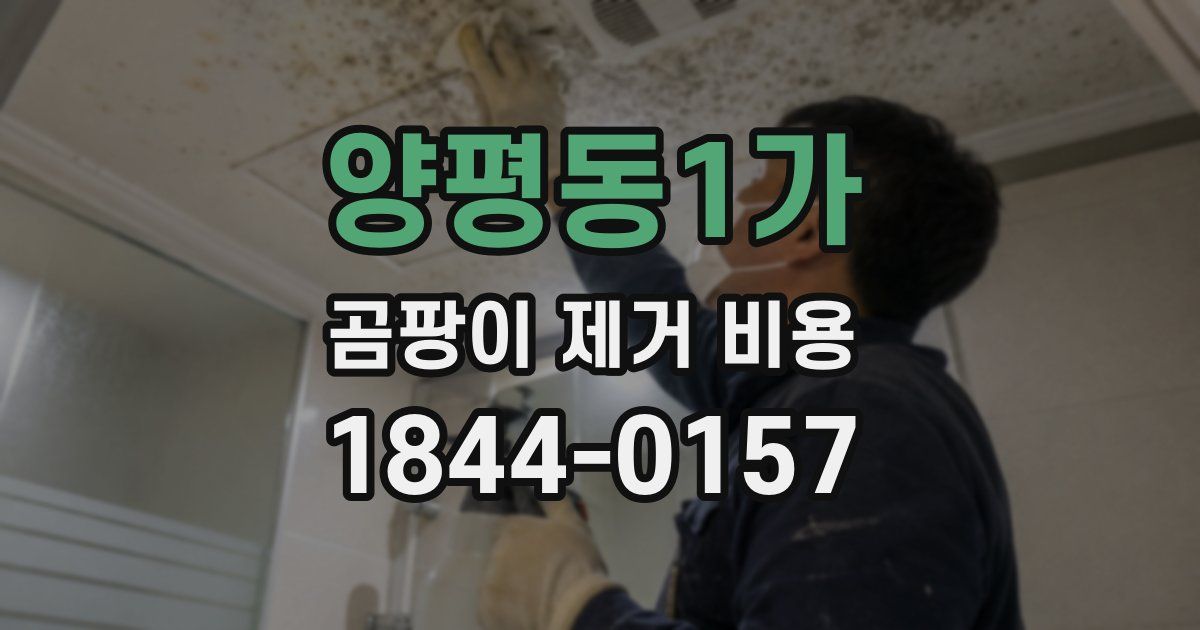 양평동1가 곰팡이 제거 비용