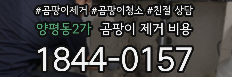 양평동2가 곰팡이 제거 비용