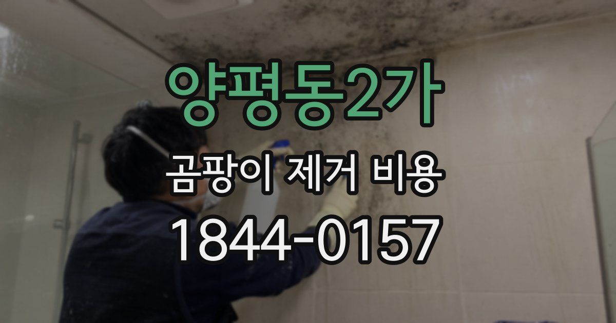 양평동2가 곰팡이 제거 비용