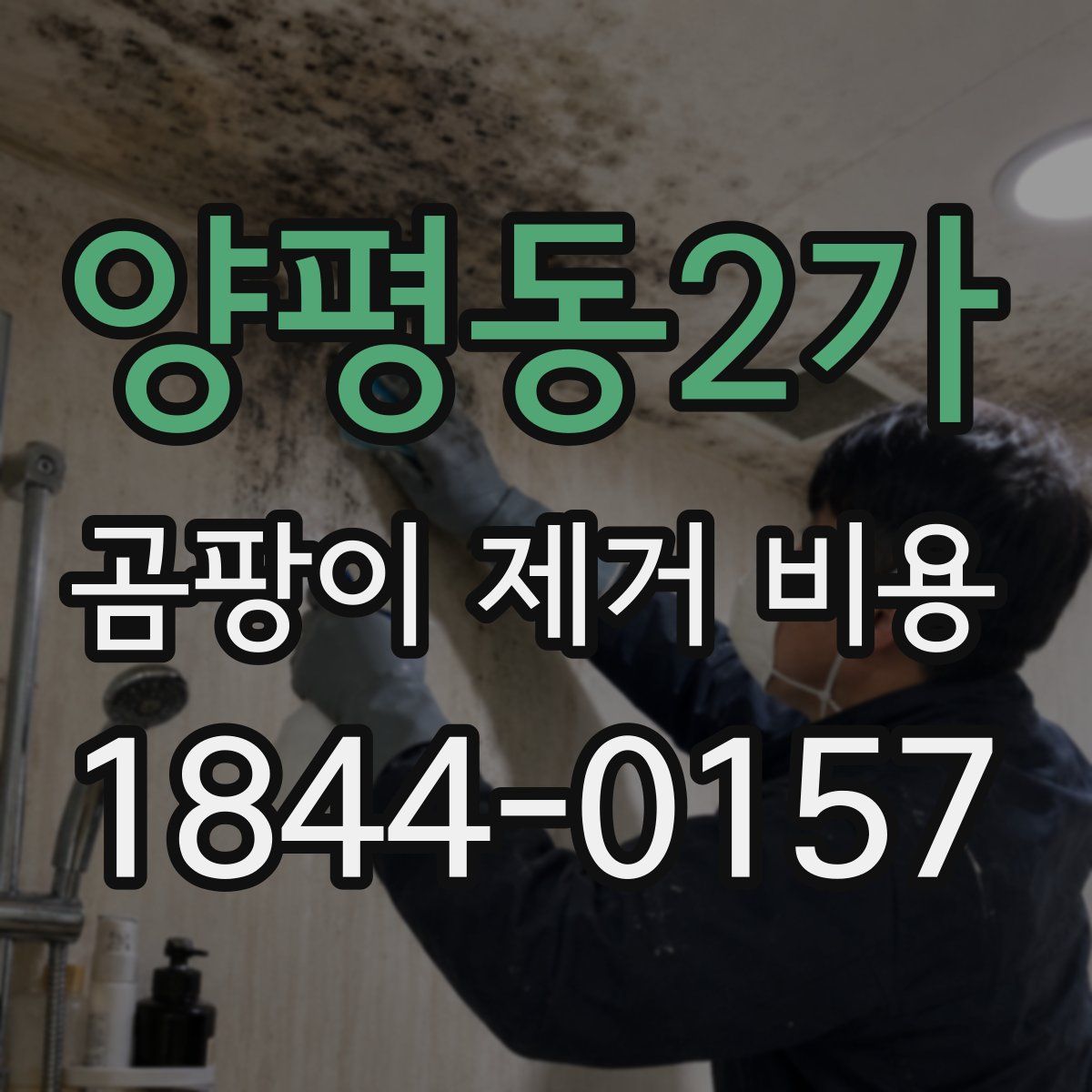 양평동2가 곰팡이 제거 비용