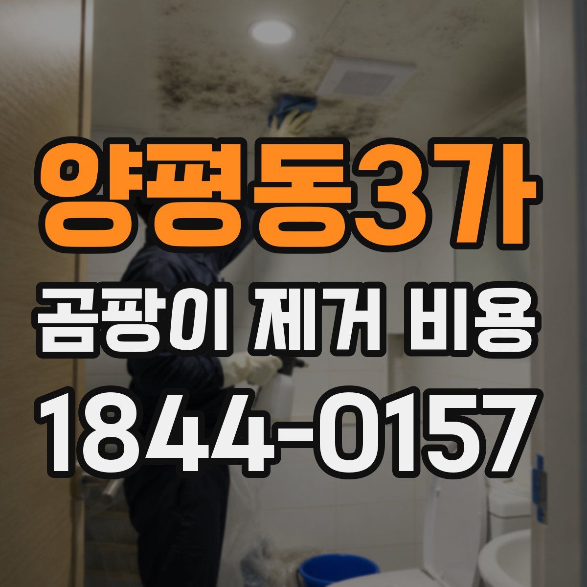 양평동3가 곰팡이 제거 비용