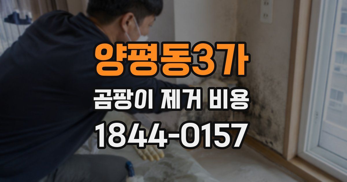 양평동3가 곰팡이 제거 비용