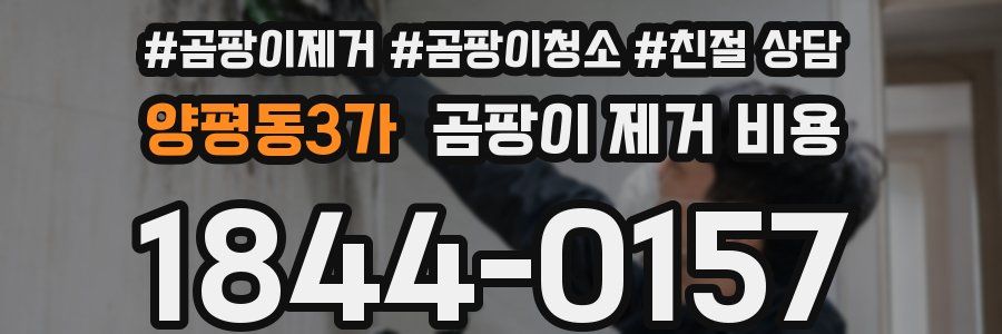 양평동3가 곰팡이 제거 비용