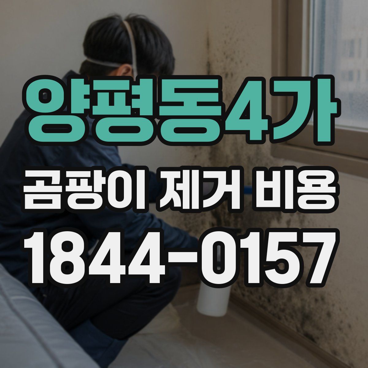 양평동4가 곰팡이 제거 비용