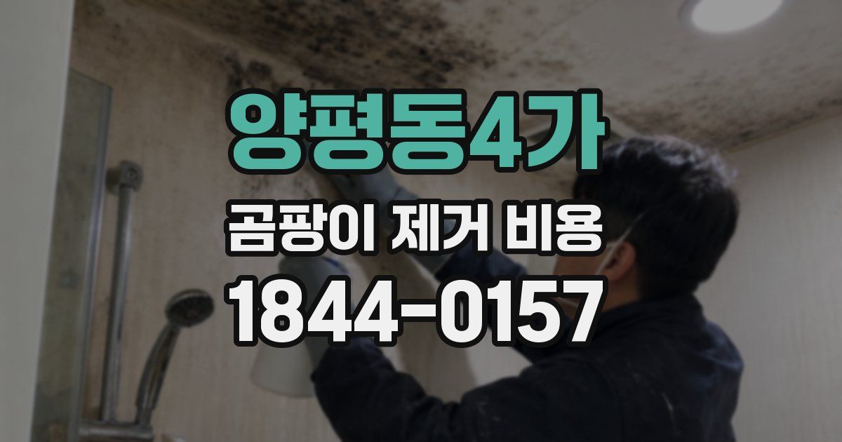 양평동4가 곰팡이 제거 비용