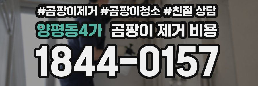 양평동4가 곰팡이 제거 비용