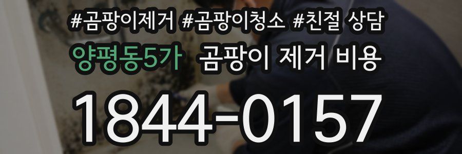양평동5가 곰팡이 제거 비용