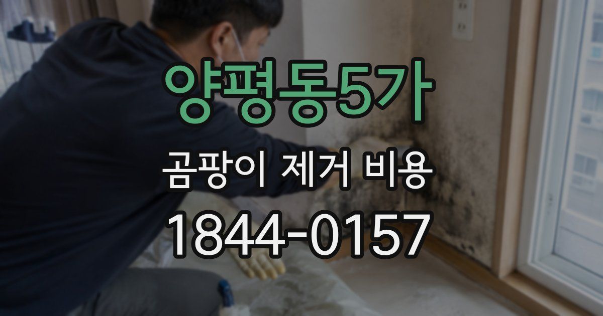양평동5가 곰팡이 제거 비용