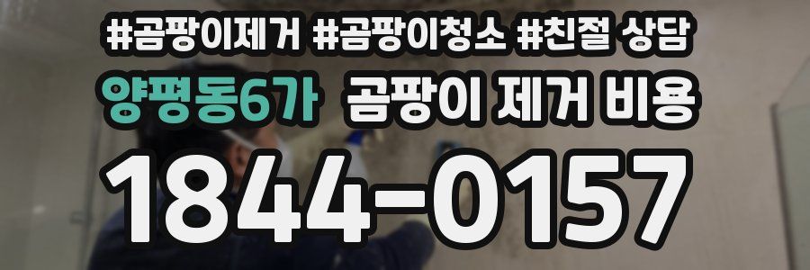양평동6가 곰팡이 제거 비용