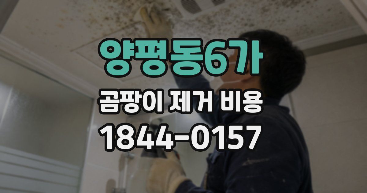 양평동6가 곰팡이 제거 비용