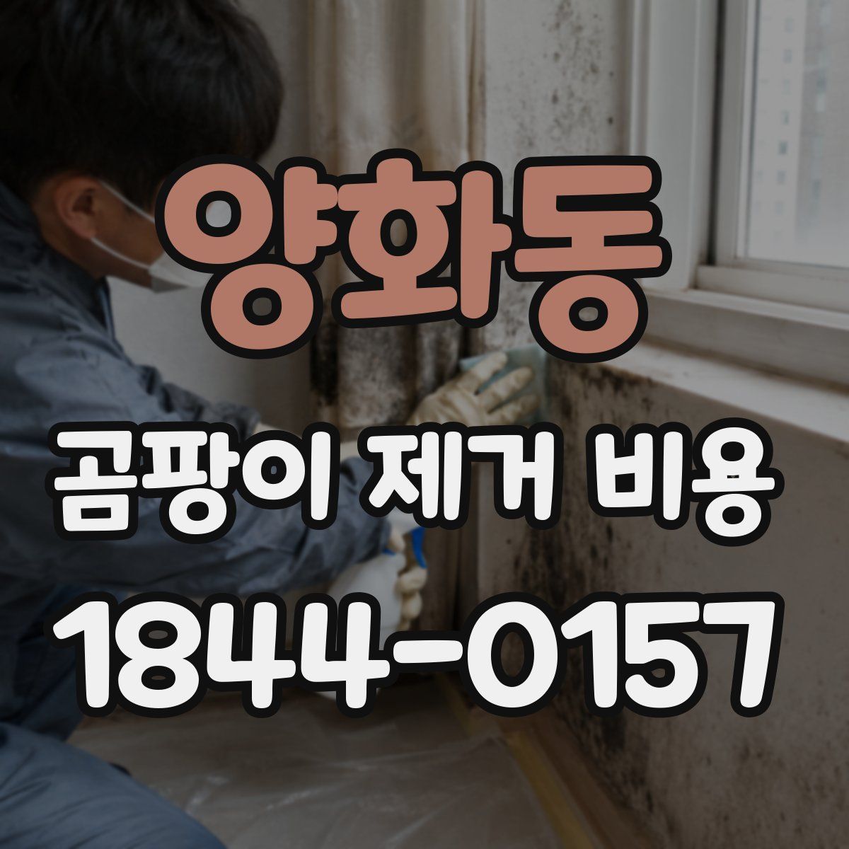 양화동 곰팡이 제거 비용