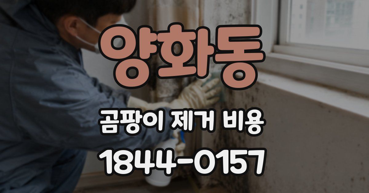 양화동 곰팡이 제거 비용