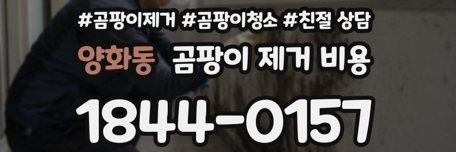 양화동 곰팡이 제거 비용