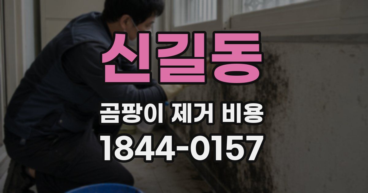신길동 곰팡이 제거 비용
