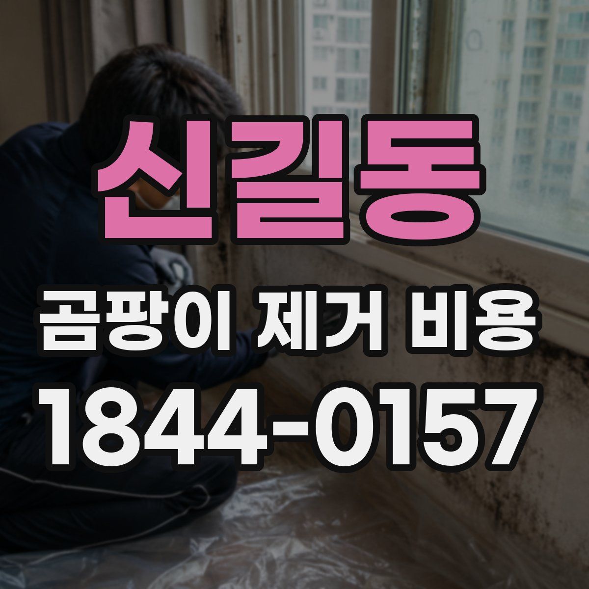 신길동 곰팡이 제거 비용