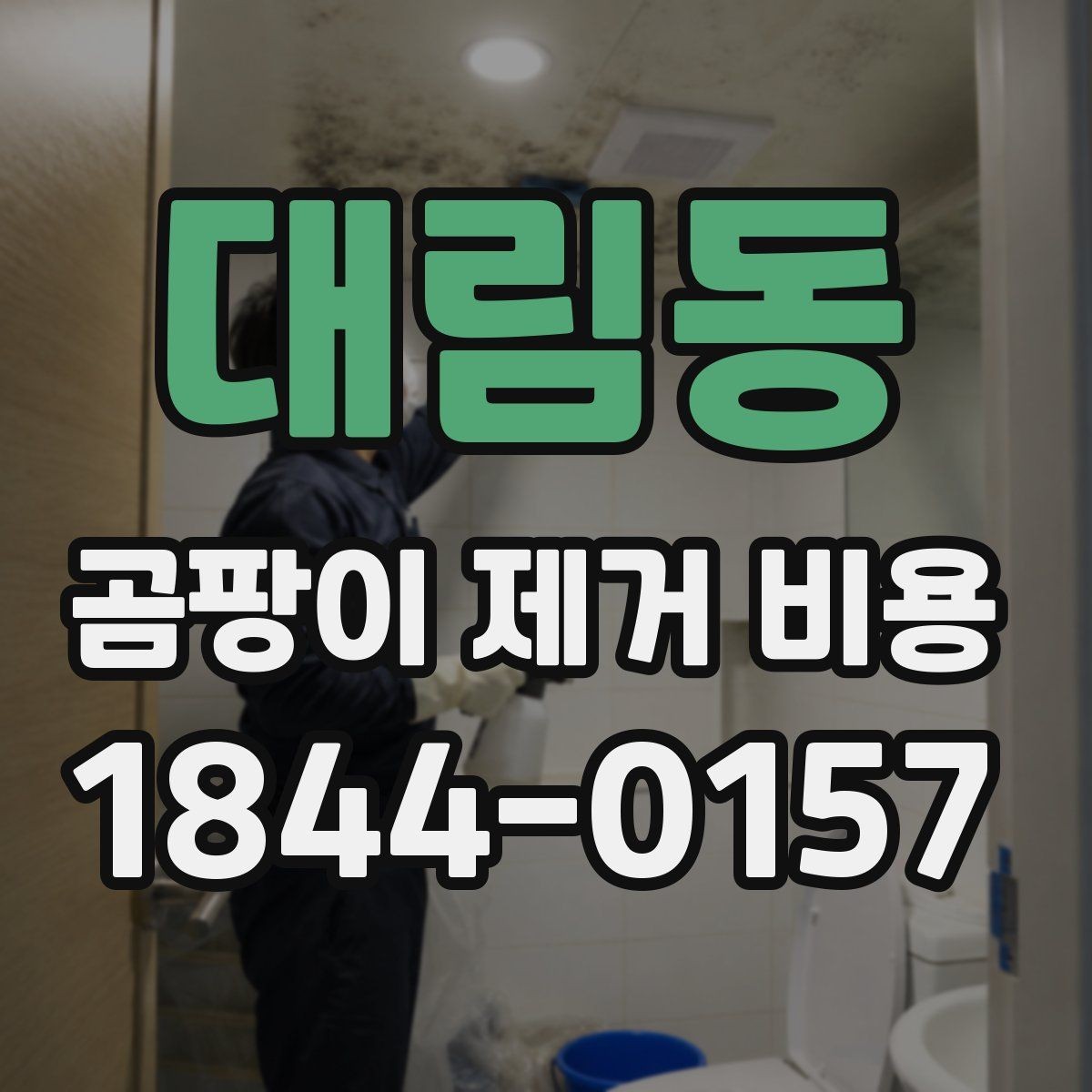 대림동 곰팡이 제거 비용 산정 방식 쉽게 이해하기