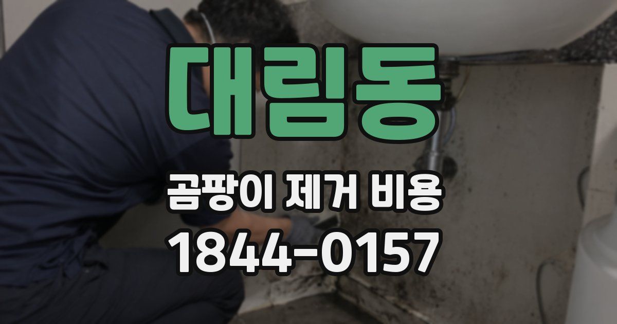 대림동 곰팡이 제거 비용