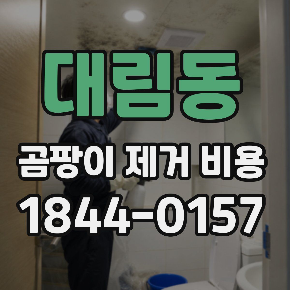 대림동 곰팡이 제거 비용