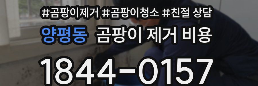 양평동 곰팡이 제거 비용
