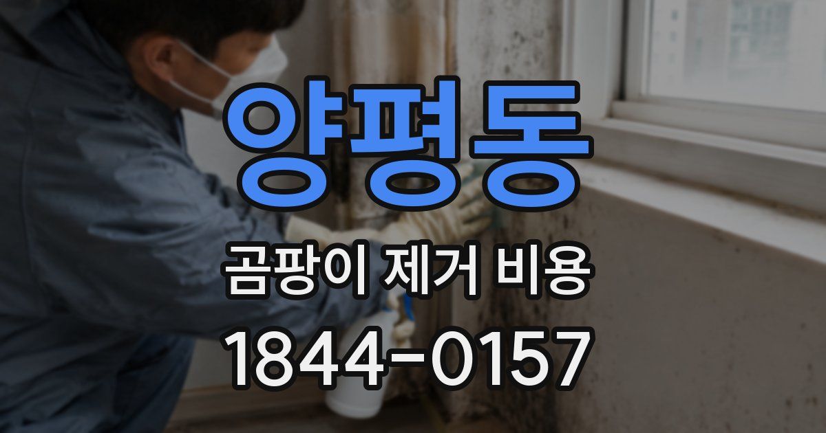 양평동 곰팡이 제거 비용