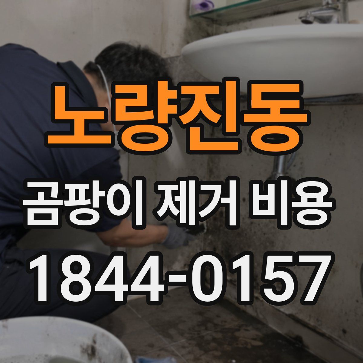 노량진동 곰팡이 제거 비용