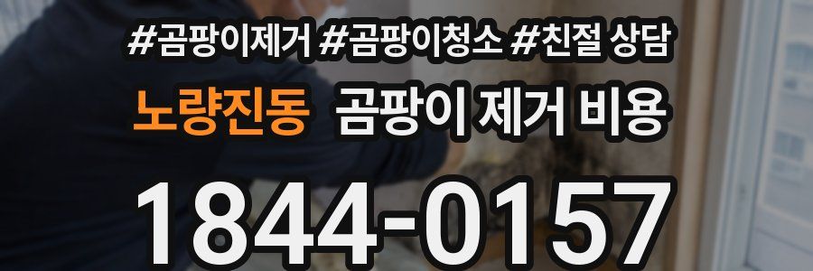 노량진동 곰팡이 제거 비용