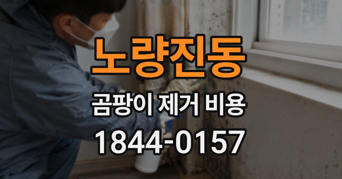 노량진동 곰팡이 제거 비용