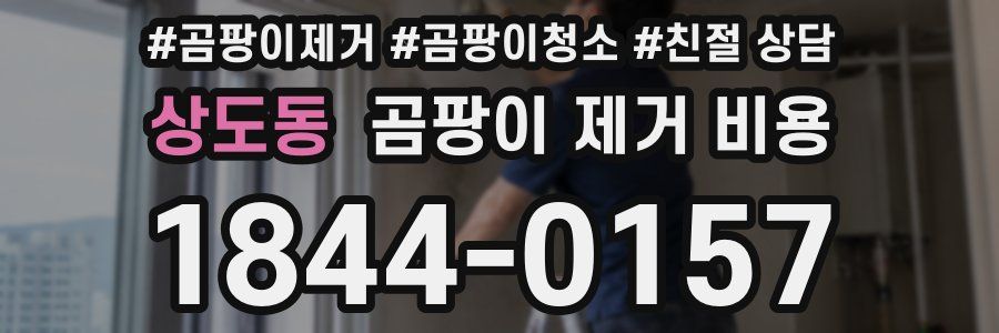 상도동 곰팡이 제거 비용