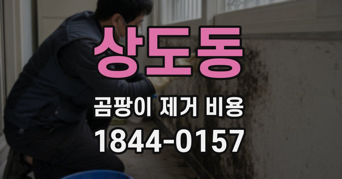 상도동 곰팡이 제거 비용