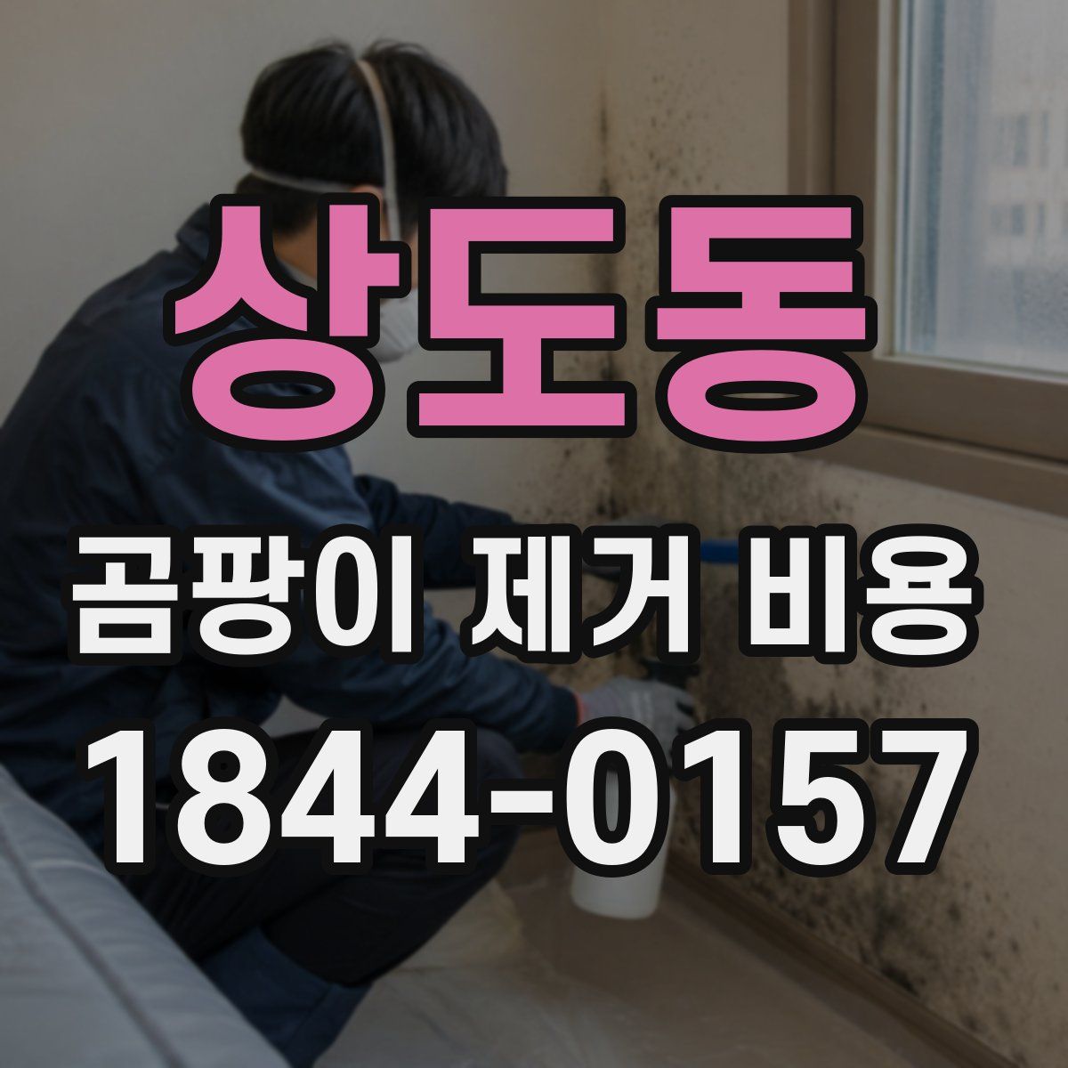 상도동 곰팡이 제거 비용