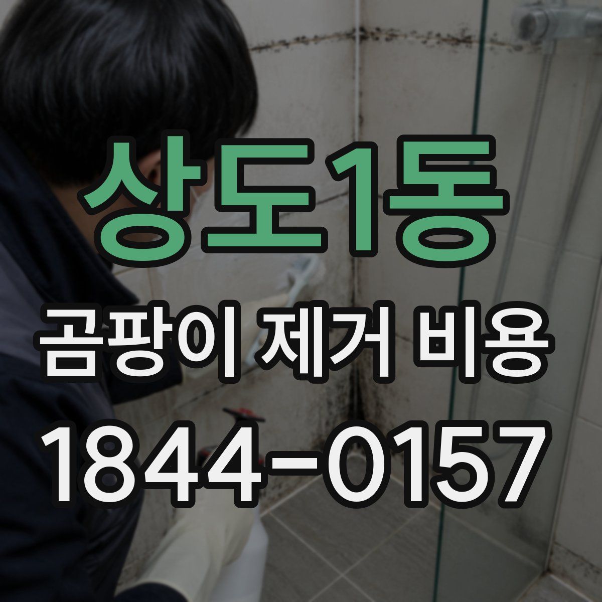 상도1동 곰팡이 제거 비용