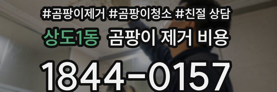 상도1동 곰팡이 제거 비용