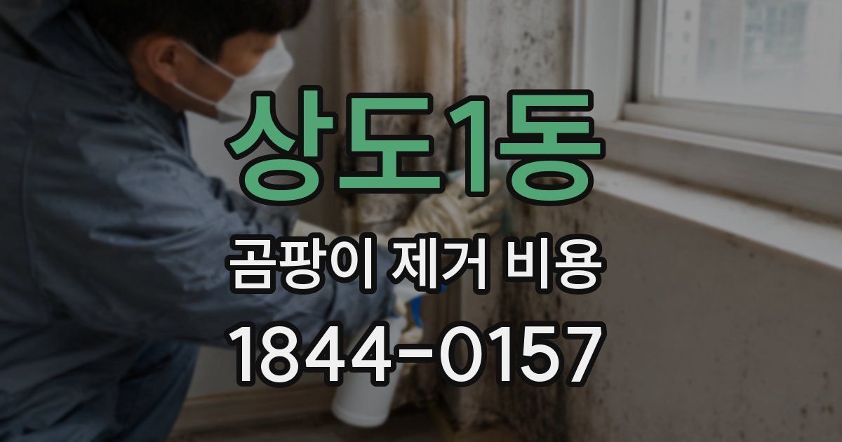 상도1동 곰팡이 제거 비용