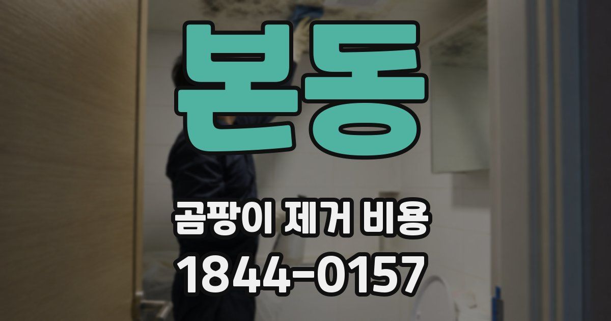 본동 곰팡이 제거 비용