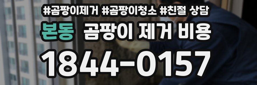 본동 곰팡이 제거 비용