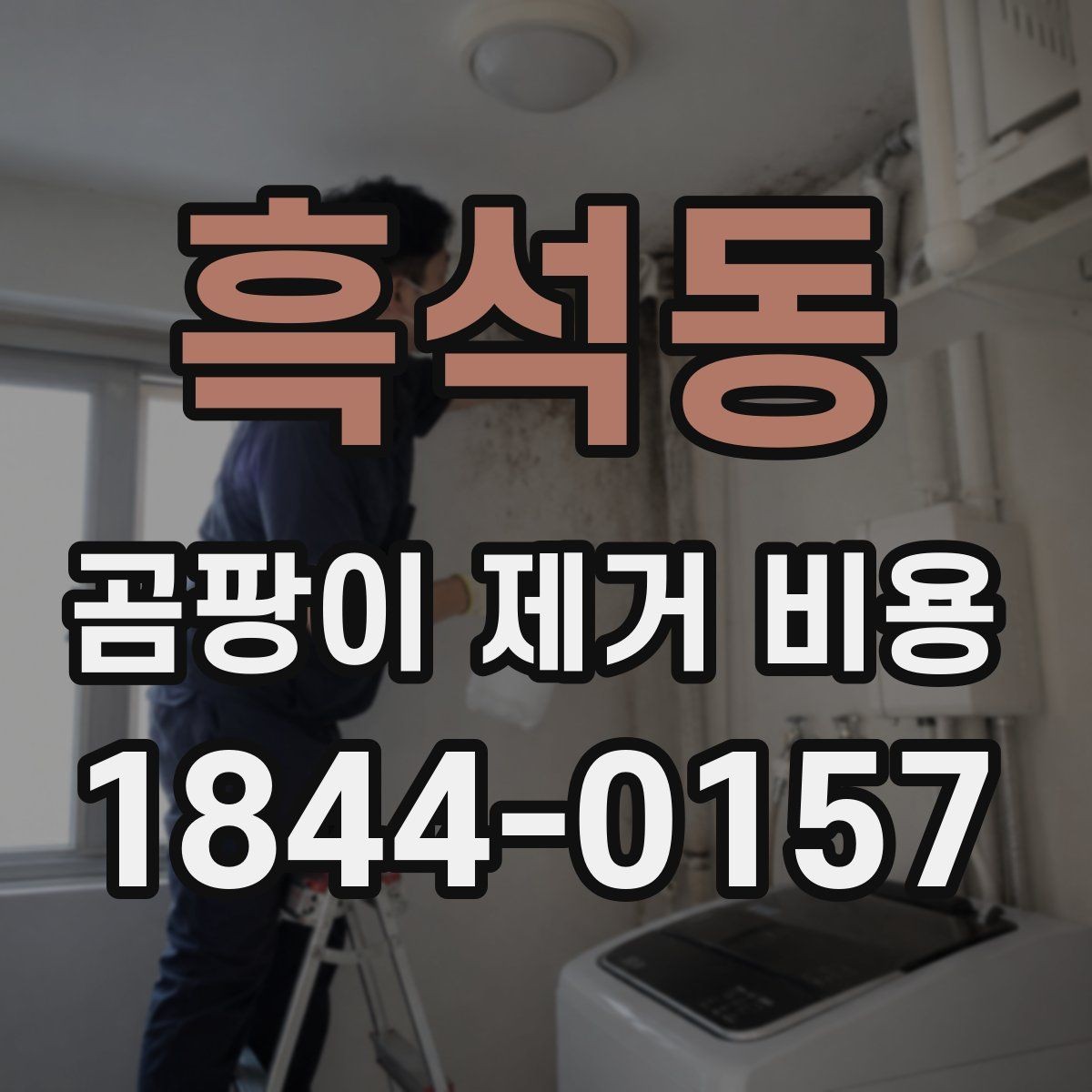 흑석동 곰팡이 제거 비용 오염 정도별로 달라지는 예상 범위
