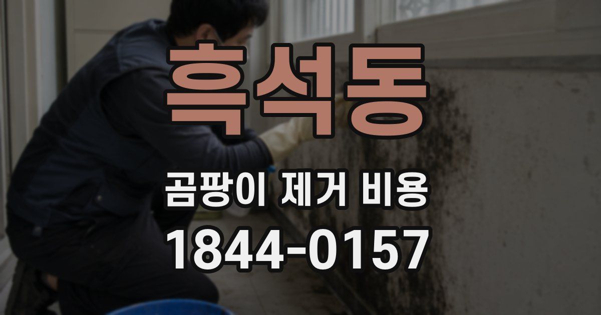 흑석동 곰팡이 제거 비용