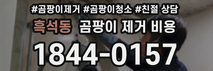 흑석동 곰팡이 제거 비용