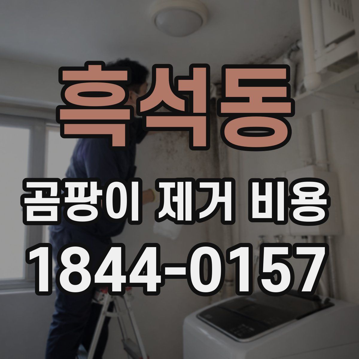 흑석동 곰팡이 제거 비용