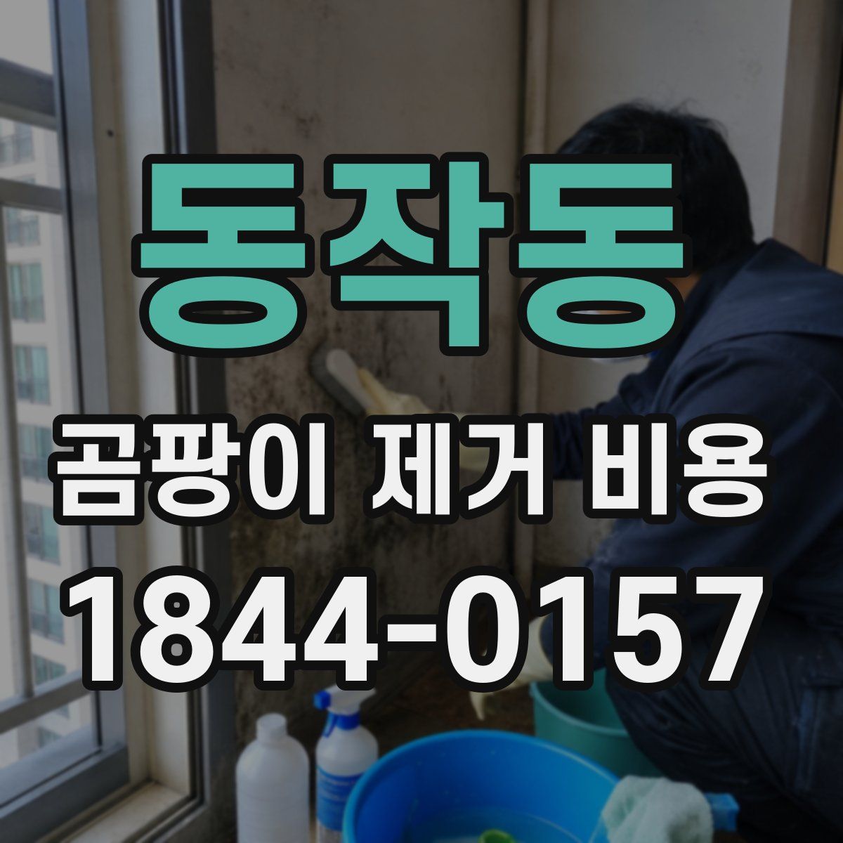 동작동 곰팡이 제거 비용