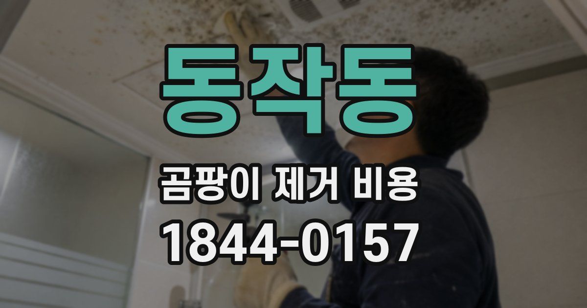 동작동 곰팡이 제거 비용