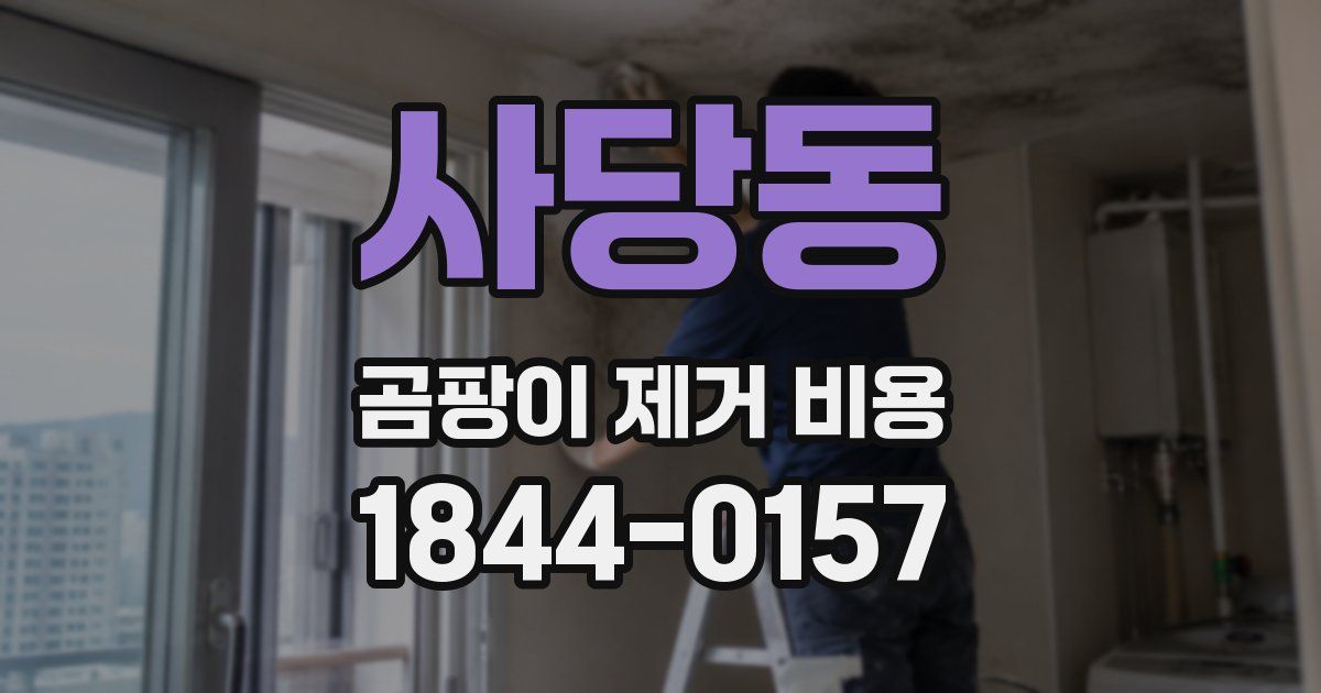 사당동 곰팡이 제거 비용