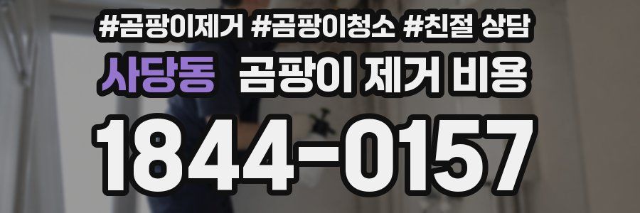 사당동 곰팡이 제거 비용