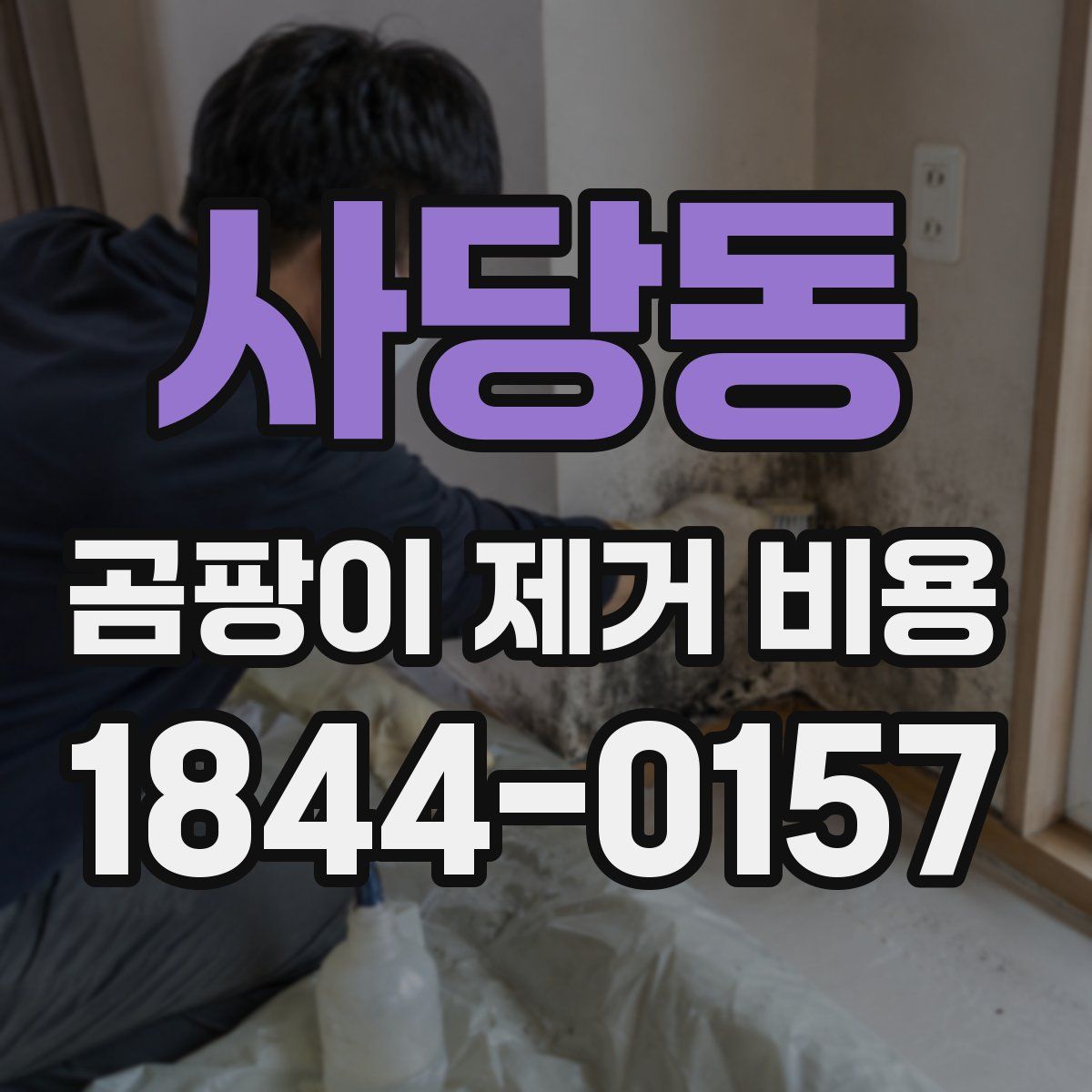 사당동 곰팡이 제거 비용